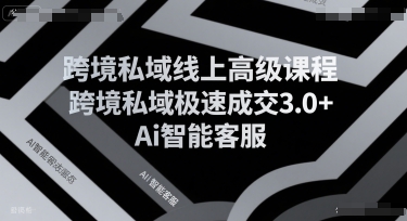 跨境私域线上高级课程,跨境私域极速成交3.0+Ai智能客服-来聚吧