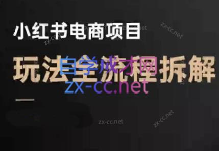 菲菲老师·小红书电商玩法(更新7月)-来聚吧