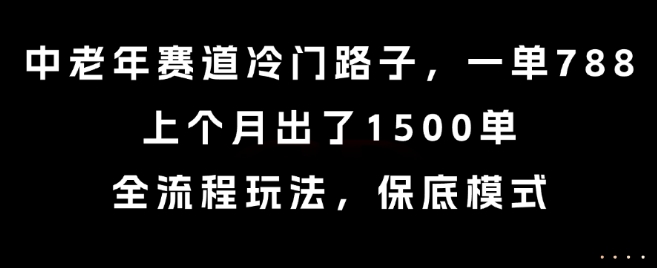 中老年赛道冷门路子，一单788，上个月出了1500单，全流程玩法，保底模式【揭秘】-来聚吧