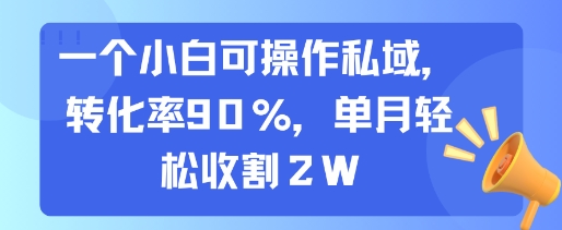 一个小白可操作私域,转化率90%,单月轻松收割2W-来聚吧