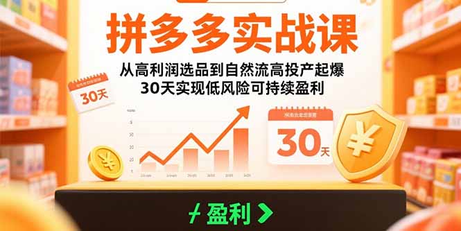 拼多多实战课：从高利润选品到自然流高投产起爆 30天实现低风险可持续盈利-来聚吧