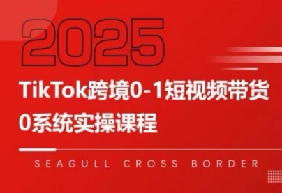 大亿老师·TikTok跨境0-1短视频带货-来聚吧