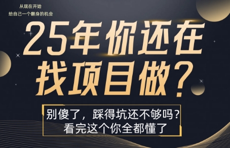 25年，你还在疯狂的找项目吗？别傻了，看完这个你都懂了【揭秘】-来聚吧