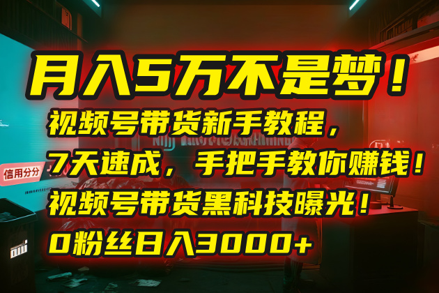 月入5万不是梦！视频号带货新手教程，7天速成，手把手教你赚钱！视频号...-来聚吧