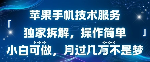 苹果手机技术服务,独家拆解,操作简单,小白可做,月过1W不是梦-来聚吧