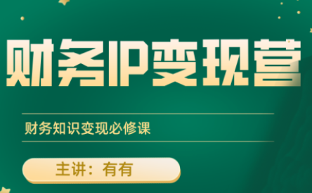 有有老师·财务IP变现营,财务知识变现必修课-来聚吧