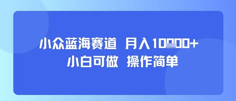 小众蓝海赛道，小白可做，操作简单，每天30分钟，月入1W+-来聚吧