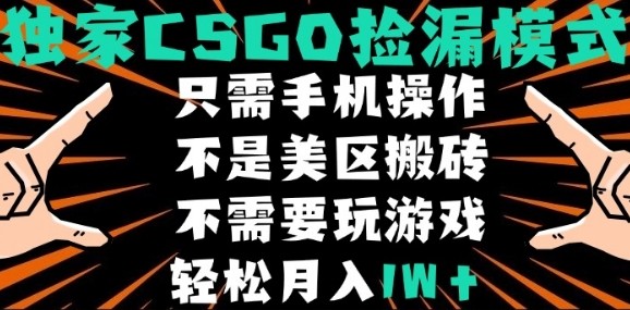 CSGO自动捡漏项目，最新独家玩法，不是美区搬砖，不需要了解和玩游戏，新手小白轻松月入1W+【揭秘】-来聚吧