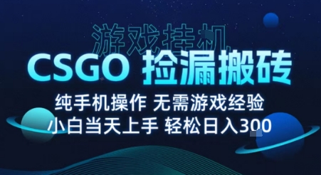 8月最新游戏搬砖,CSGO纯挂G,不需要玩游戏,实现真挂G,月入1W+【揭秘】-来聚吧