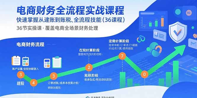 电商财务全流程实战课程：快速掌握从建账到报税的全流程技能(36节课-来聚吧