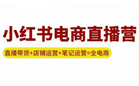 申铭老师·小红书电商直播营(更新)-来聚吧