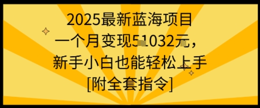 2025最新蓝海项目一个月变现1w+新手小白也能轻松上手【附全套指令】-来聚吧