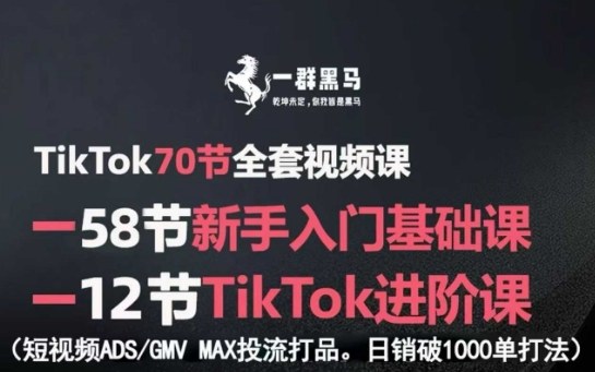 TikTok全套视频课,新手入门+进阶课,短视频ADS-GMV MAX投流打品,日销破1000单打法-来聚吧