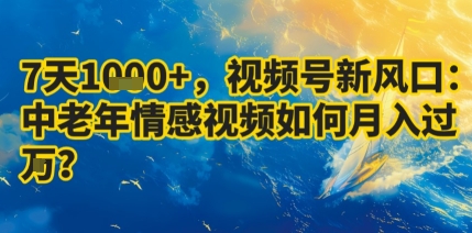 7天收益1k+，视频号新风口：中老年情感视频如何月入过W?-来聚吧