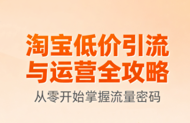 淘宝低价引流与运营全攻略(更新9月)-来聚吧