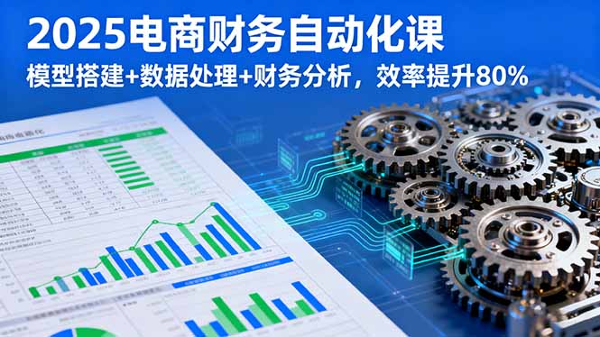 2025电商财务自动化课,模型搭建+数据处理+财务分析,效率提升80%-来聚吧