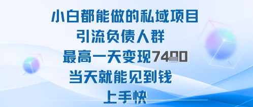 2025年小白都能做的私域项目引流负债人群最高一天变现1k+高变现难度低当天就能见到钱上手快-来聚吧