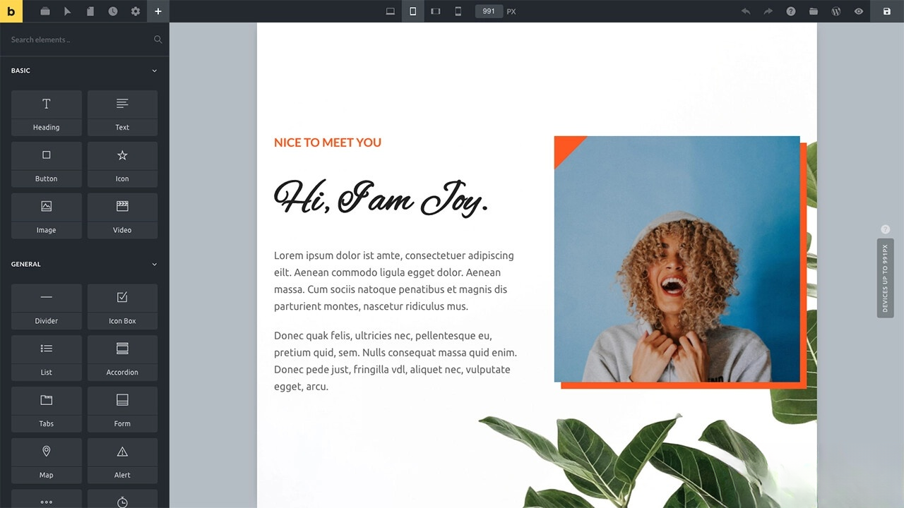 WordPress主题Bricks v1.9 破解版-来聚吧
