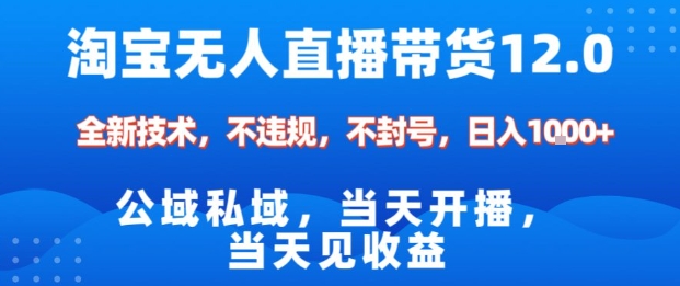 淘宝无人直播12.0，公域私域技术，不封号，不违规布局双十一流量风口，日入1k(独家技术)【揭秘】-来聚吧