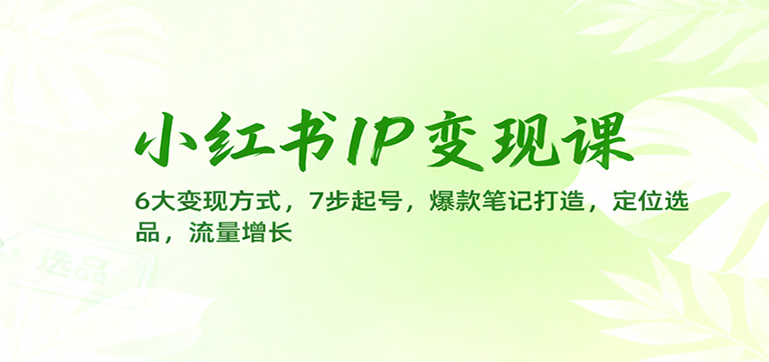 小红书IP变现课：6大变现方式，7步起号，爆款笔记打造，定位选品，流量增长-来聚吧