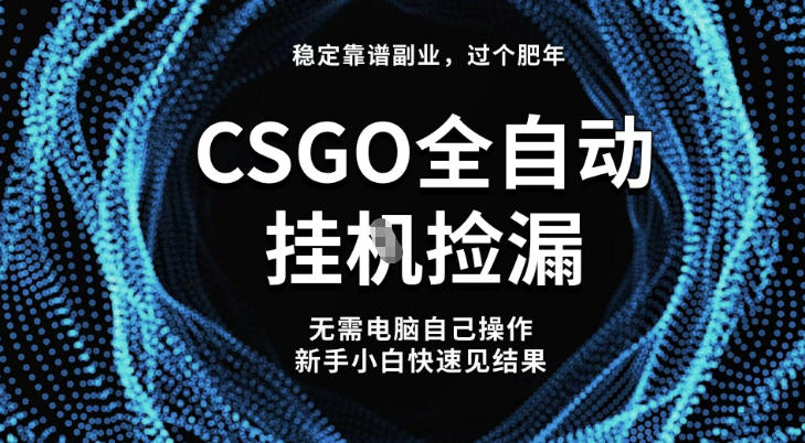 【稳定副业】全球最热门游戏CSGO全自动捡漏，最新玩法，新手小白日入5张+【揭秘】-来聚吧