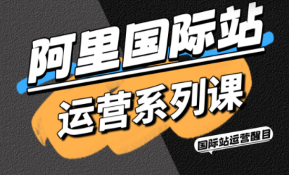 醒目老师·阿里国际站运营系列课(更新11月)-来聚吧