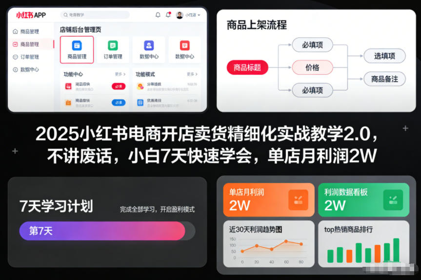 2025小红书电商开店卖货精细化实战教学2.0，不讲废话，小白7天快速学会，单店月利润2W-来聚吧