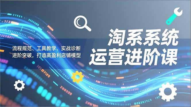 淘系系统运营进阶课2.0，流程规范、工具教学、实战诊断，进阶突破，打造高盈利店铺模型-来聚吧