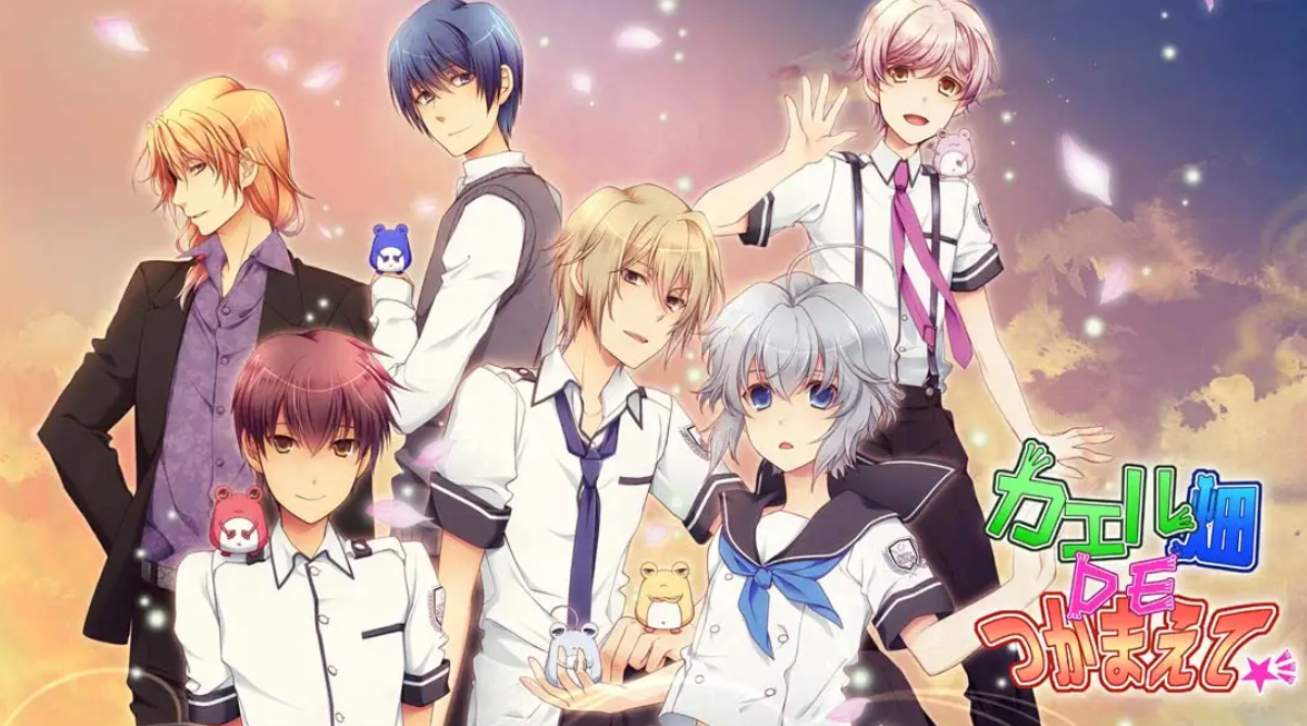 《蛙畑奇事 カエル畑DEつかまえて 乙女》Switch日文版XCI下载 – 含1.0.0补丁-来聚吧