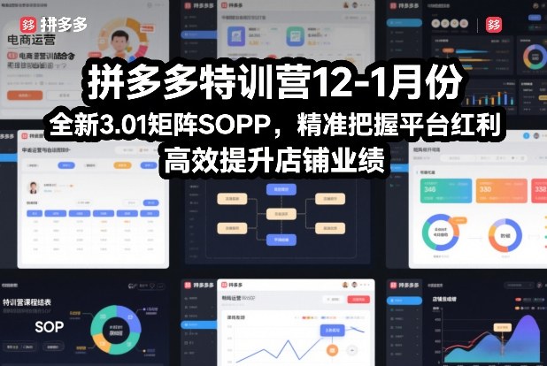 拼多多特训营12-1月份,全新3.01矩阵Sop,精准把握平台红利,高效提升店铺业绩-来聚吧