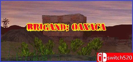 《盗团：瓦哈卡（Brigand: Oaxaca）》v17.6 [英文]-来聚吧
