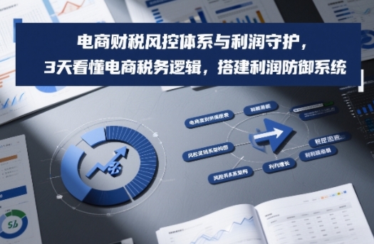 电商财税风控体系与利润守护，3天看懂电商税务逻辑，搭建利润防御系统-来聚吧