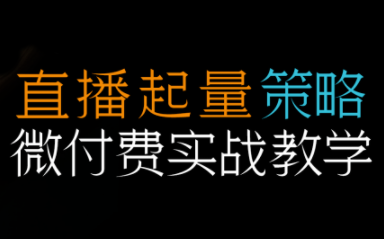 半野老师·直播带货起量与微付费必学课视频号(更新2026)-来聚吧