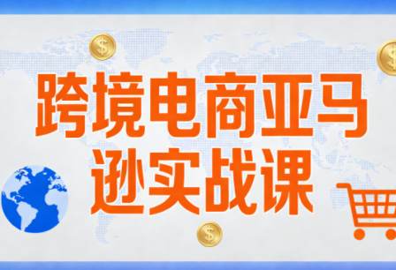 丝丝老师·跨境电商亚马逊实战课(更新2月)-来聚吧