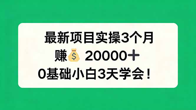 最新项目实操3个月，赚钱20000+，0基础小白3天学会！-来聚吧