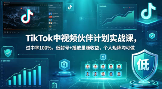 TikTok中视频伙伴计划实战课，过中率100%，低封号+播放量賺收益，个人矩阵均可做-来聚吧