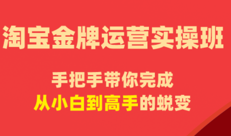 飓风电商·淘宝金牌运营实操班-来聚吧