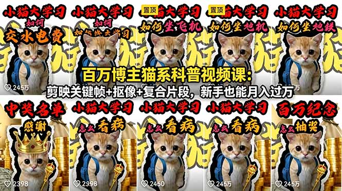 百万博主猫系科普视频课：剪映关键帧+抠像+复合片段，新手也能月入过万-来聚吧