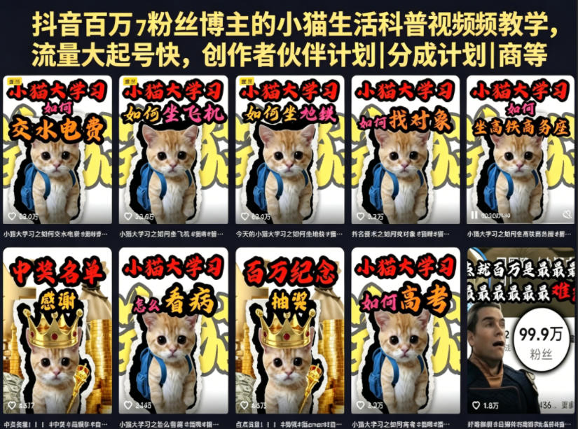 抖音百万粉丝博主的小猫生活科普视频教学，流量大起号快，创作者伙伴计划|分成计划|商单|收徒等-来聚吧