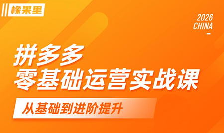 仙道电商·拼多多零基础运营实战课-来聚吧