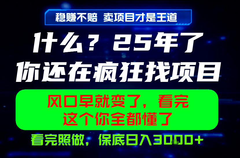 26年,请不要疯狂的找项目做了!卖项目才是真的稳賺不赔,看完照做,保底日入1k+【揭秘】-来聚吧