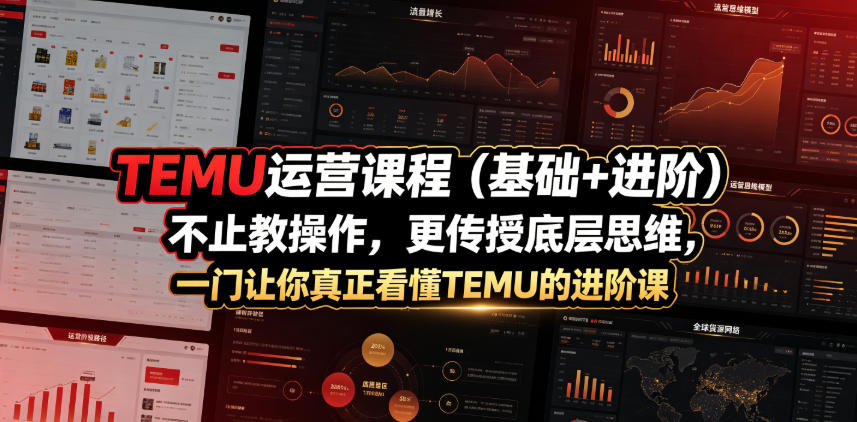 TEMU运营课程(基础+进阶)，不止教操作，更传授底层思维，一门让你真正看懂TEMU的进阶课-来聚吧
