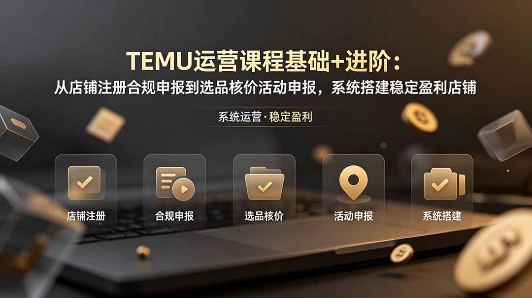 TEMU运营课程(基础+进阶-来聚吧