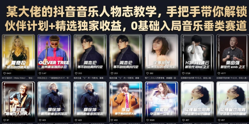 某大佬的抖音音乐人物志教学,手把手带你解锁伙伴计划+精选独家收益,0基础入局音乐垂类赛道-来聚吧