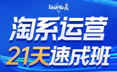 白凤电商·淘系运营21天速成班(更新7月)-来聚吧