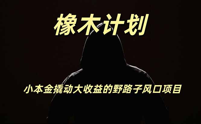 橡木计划，小投入撬动高回报的风口野路子项目，一天投入2小时左右-来聚吧