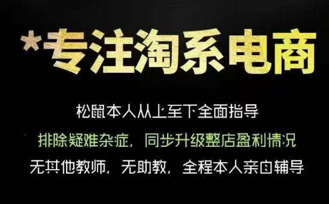 松鼠会电商VIP课程,从基础布局到高阶优化,助你掌握淘宝运营逻辑,提升店铺流量与转化(更新0815)-来聚吧