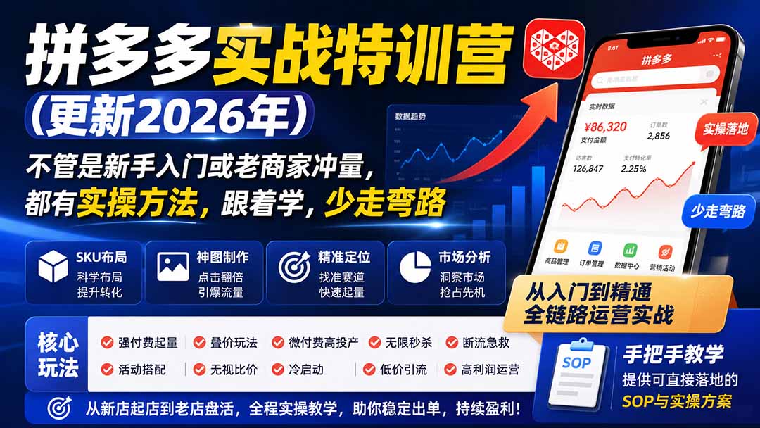 拼多多实战特训营(更新26年0821-来聚吧