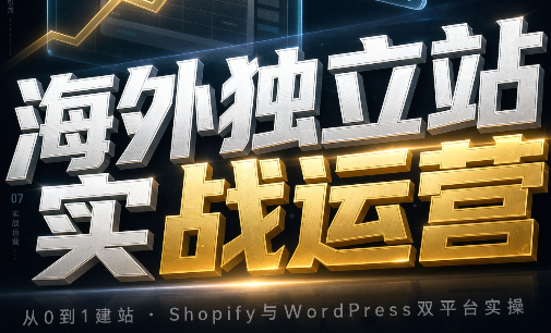 海外独立站实战运营-来聚吧