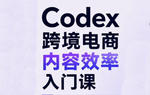 Codex跨境电商内容效率入门课-来聚吧